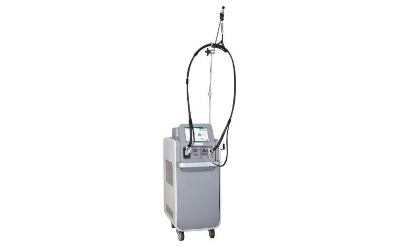 ジェントルマックスプロ